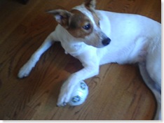 Toby Soccer Boy