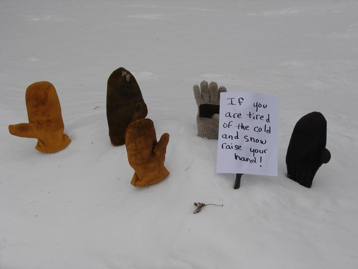 Tired of Winter?