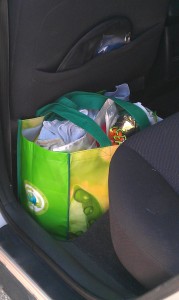 TJMaxx Bag